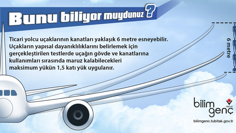 Uçak Kanatlarının Teknolojideki Kritik Rolü ve Bilmeniz Gerekenler [2026]